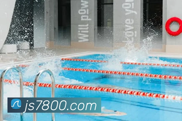 App Interface Preview